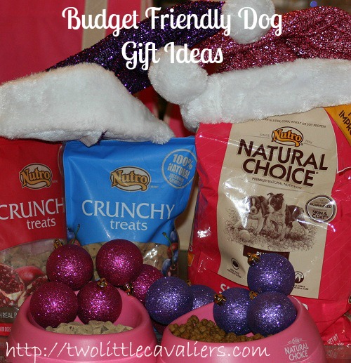 Budget Friendly Dog Gift Ideas Budget Friendly Dog Gift Ideas