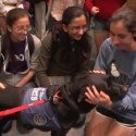 Dogs visit Rice University