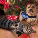 Thundershirts for dogs and cats
