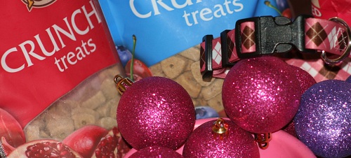Budget Friendly Dog Gift Ideas Budget Friendly Dog Gift Ideas