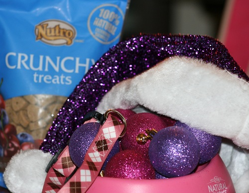 Budget Friendly Dog Gift Ideas Budget Friendly Dog Gift Ideas