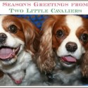 Season's Greetings from Two Little Cavaliers