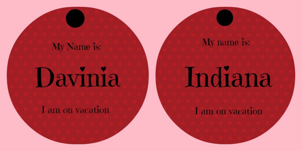 Dog ID Tags for Vacations