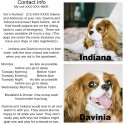 Instructions for your dog sitter