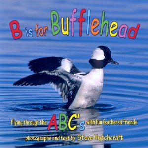 B is for Bufflehead Book Review B is for Bufflehead Book Review