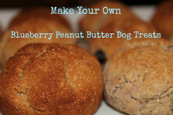 Blueberry Peanut Butter Dog Treats Blueberry Peanut Butter Dog Treats