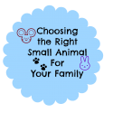 Choosing the right small animal for your family