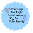 Choosing the right small animal for your family