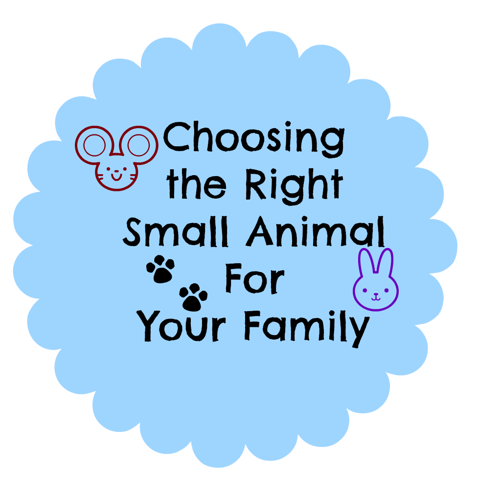 Choosing the right small animal for your family Choosing the right small animal for your family