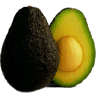 Hass Avocado Hass Avocado