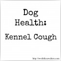 Kennel Cough