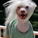 Nathan Gagnam style - Bald is Beautiful