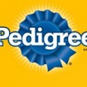 Big Anouncement from Pedigree Coming Soon