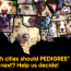 2013 Pedigree Feeding Project