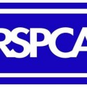 RSPCA