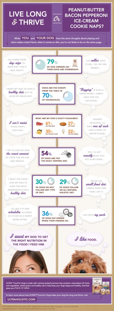 Dogs Peanut Butter Bacon Pepperoni Ice-Cream Cookie-Naps" ULTRA™ Infographic Dogs Peanut Butter Bacon Pepperoni Ice-Cream Cookie-Naps" ULTRA™ Infographic