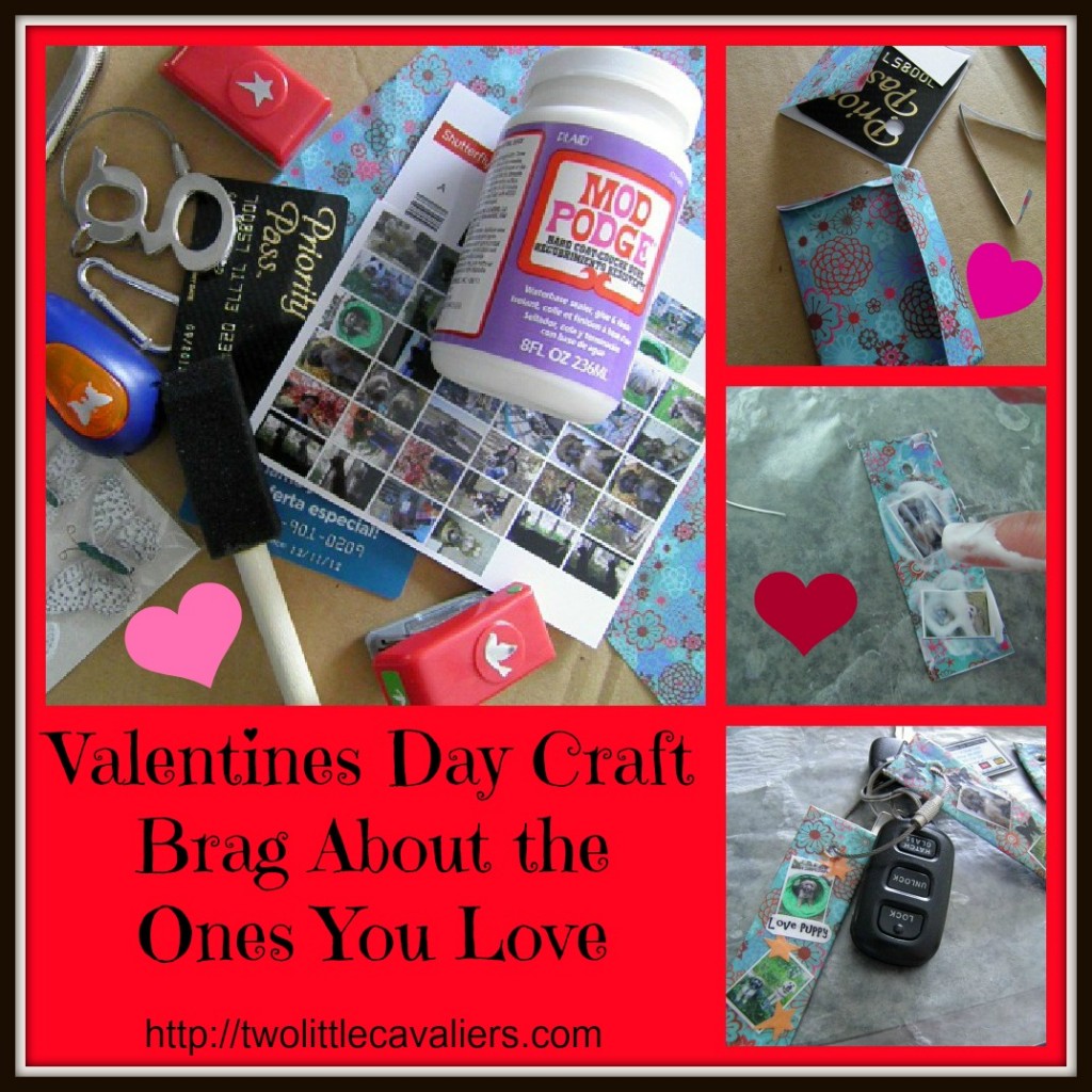Valentine's Day Craft Brag About the Ones You Love - twolittlecavaliers.com