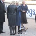 dogs and cats get visit from Duchess of Cornwall