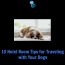 traveling and dogs tips for staying at a hotel