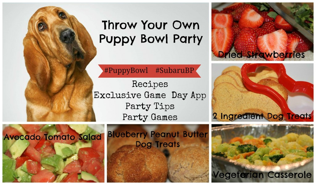 Puppy Bowl