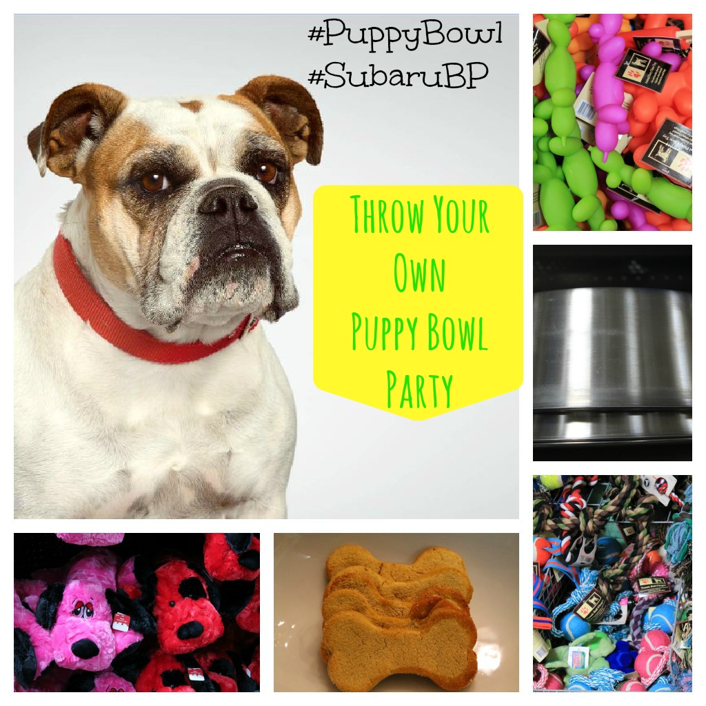 Puppy Bowl Party 