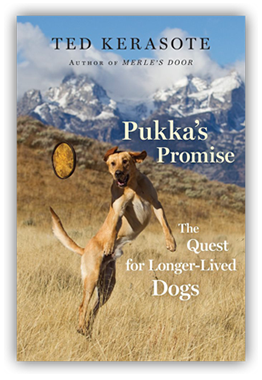 Pukka’s Promise: The Quest for Longer-Lived Dogs Pukka’s Promise: The Quest for Longer-Lived Dogs