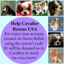 Cavalier Rescue USA