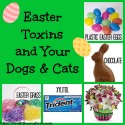 easter toxins and your dogs and cats