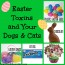 easter toxins and your dogs and cats