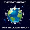 pet blogger hop badge
