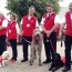 Pets Unstressing Passangers