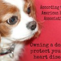 Owning a Dog may protect you from heart disease.