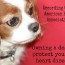 Owning a Dog may protect you from heart disease.