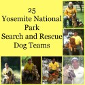 Yosemite National Park Search and Rescue Dog Teams