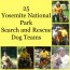 Yosemite National Park Search and Rescue Dog Teams