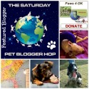 Pet Bloggers Blog Hop