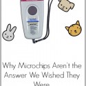 Why microchips aren't the answer we wished they were