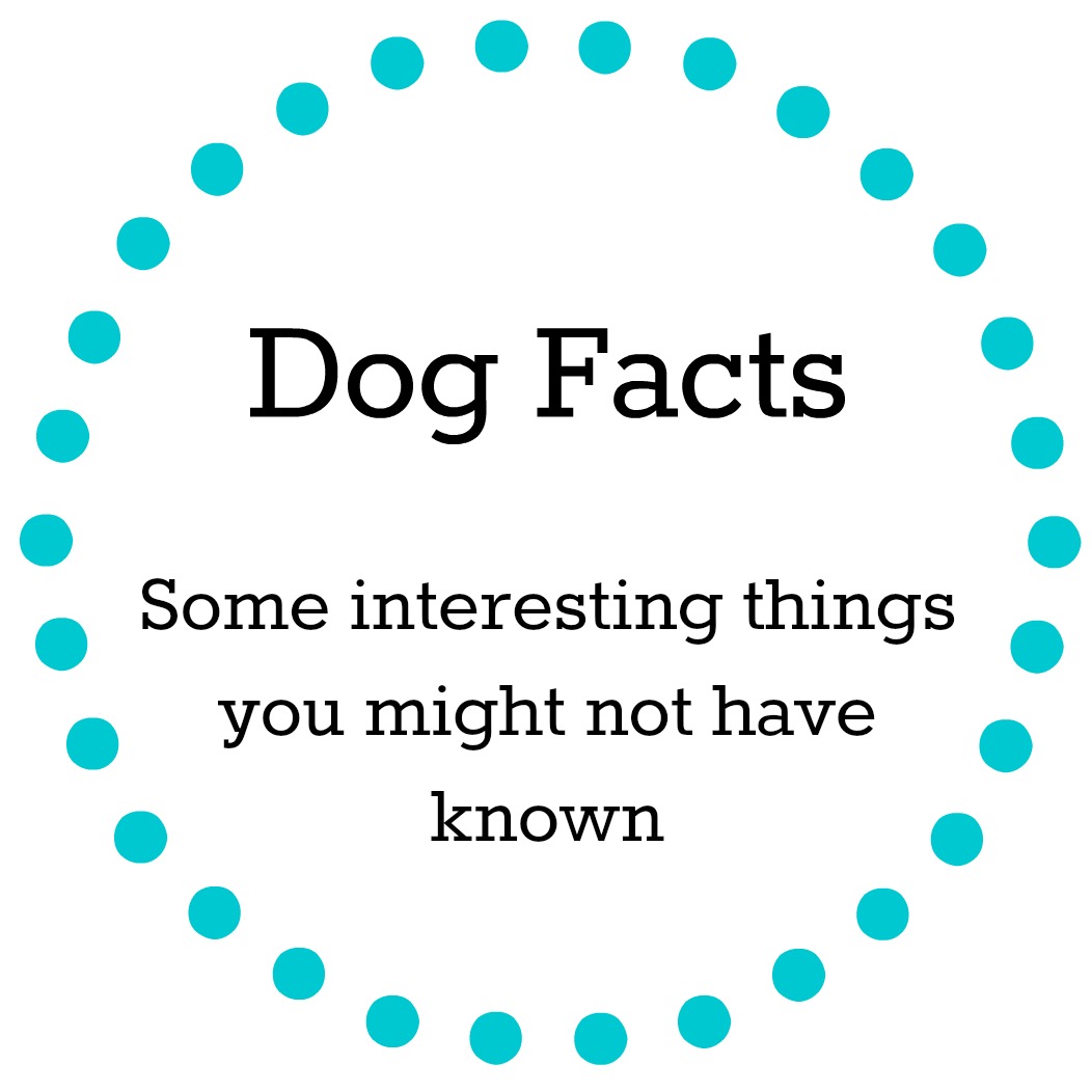 Dog Facts