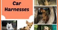 Pet Safety Car Harnesses 1