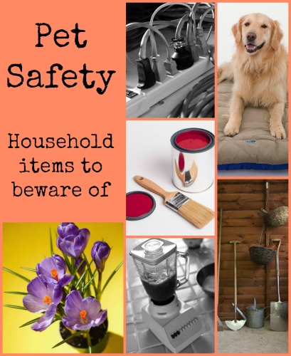 Pet Safety Household Items to be aware of - Two Little Cavaliers