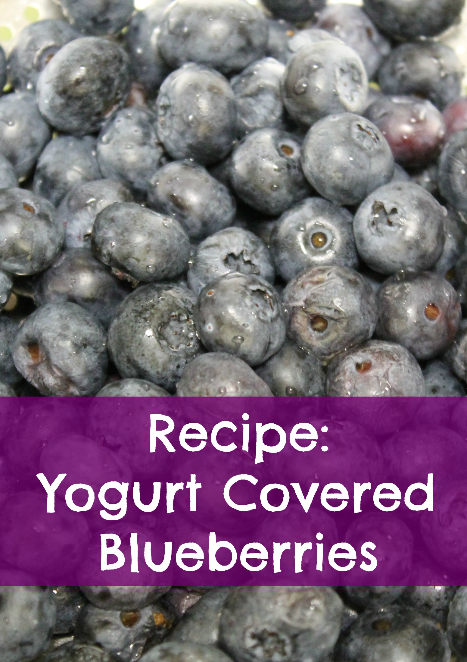 Yogurt Covered Blueberries Two Little Cavaliers