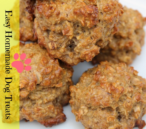 Download Homemade Dog Treats - Peanut Butter Oatmeal - Two Little ...