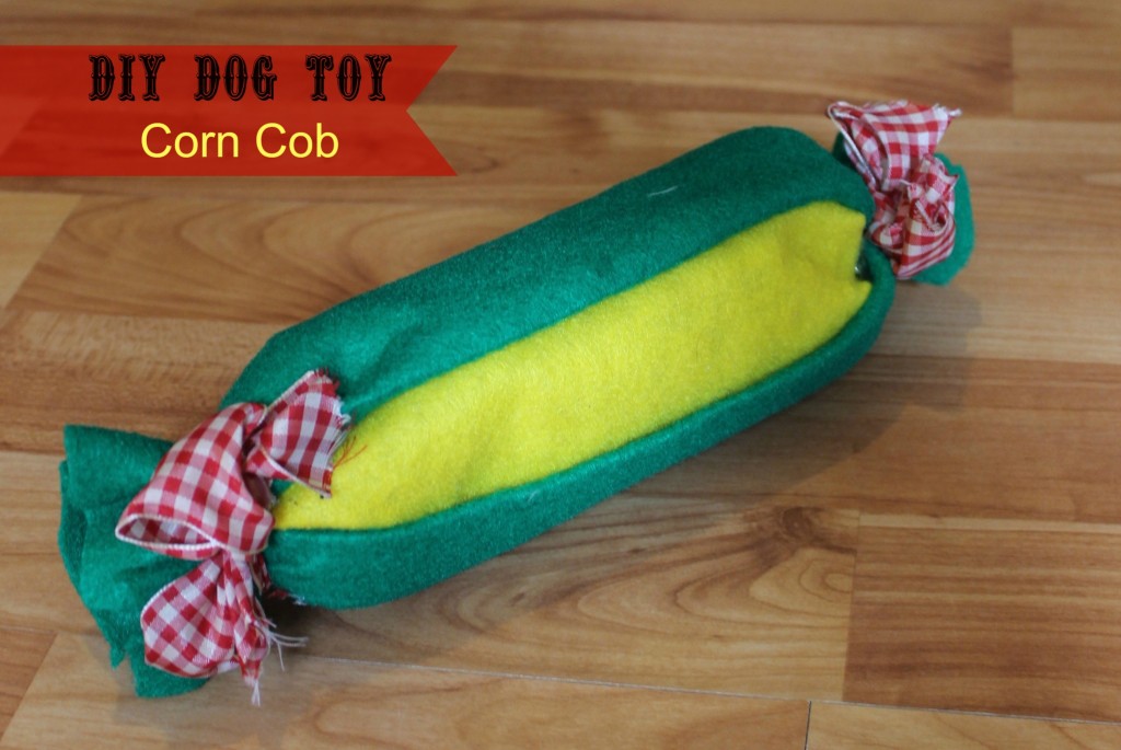 Easy DIY Water Bottle Dog Toy