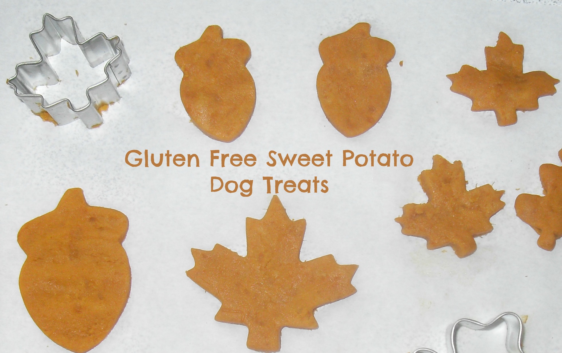 Sweet Potato Dog Treats